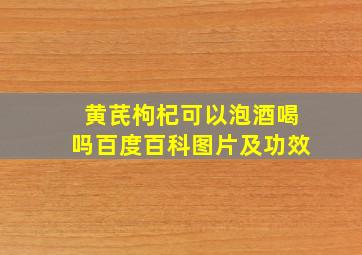 黄芪枸杞可以泡酒喝吗百度百科图片及功效