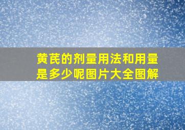 黄芪的剂量用法和用量是多少呢图片大全图解