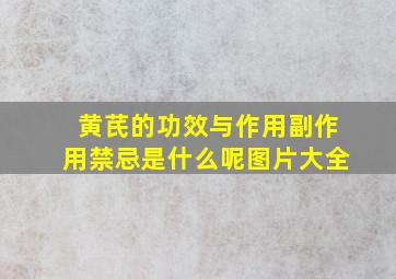 黄芪的功效与作用副作用禁忌是什么呢图片大全