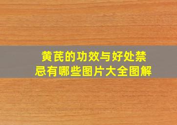 黄芪的功效与好处禁忌有哪些图片大全图解