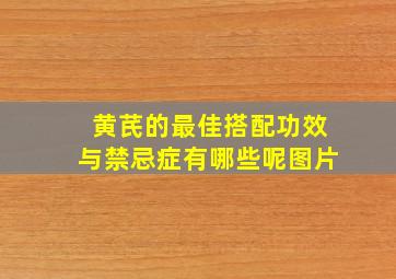 黄芪的最佳搭配功效与禁忌症有哪些呢图片