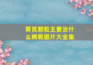 黄芪颗粒主要治什么病呢图片大全集