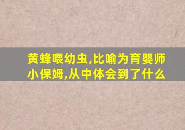 黄蜂喂幼虫,比喻为育婴师小保姆,从中体会到了什么