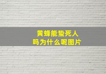 黄蜂能蛰死人吗为什么呢图片