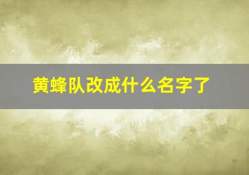 黄蜂队改成什么名字了