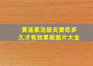 黄连素治肠炎要吃多久才有效果呢图片大全