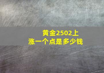 黄金2502上涨一个点是多少钱