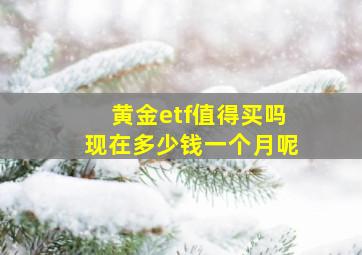 黄金etf值得买吗现在多少钱一个月呢