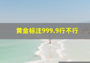 黄金标注999.9行不行