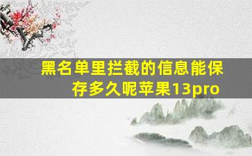 黑名单里拦截的信息能保存多久呢苹果13pro