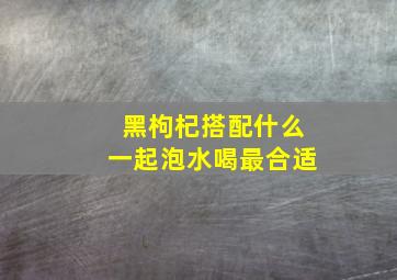 黑枸杞搭配什么一起泡水喝最合适