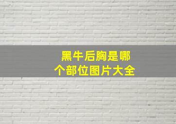 黑牛后胸是哪个部位图片大全