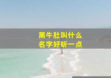 黑牛肚叫什么名字好听一点