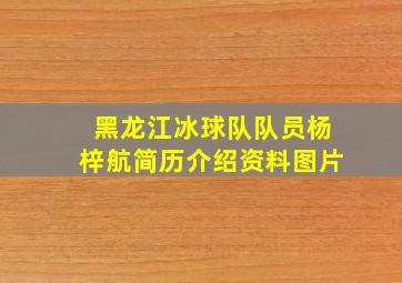 黑龙江冰球队队员杨梓航简历介绍资料图片