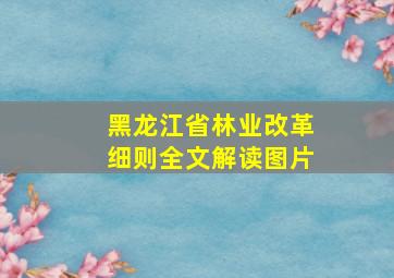 黑龙江省林业改革细则全文解读图片