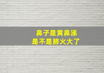 鼻子是黄鼻涕是不是肺火大了