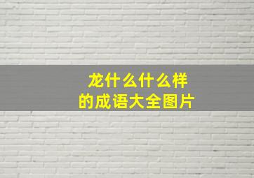 龙什么什么样的成语大全图片