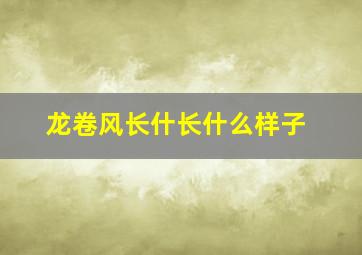 龙卷风长什长什么样子