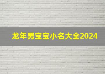 龙年男宝宝小名大全2024