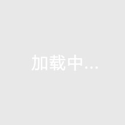 2024年11月26日 亚冠-泰山全场1射正1-0柔佛重返晋级区 泽卡制胜毕津浩离谱失空门