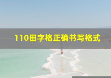 110田字格正确书写格式