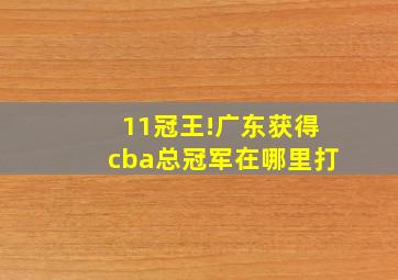 11冠王!广东获得cba总冠军在哪里打