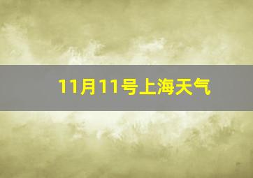 11月11号上海天气