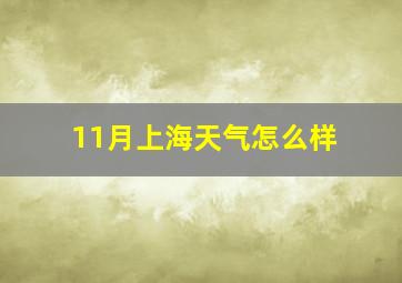 11月上海天气怎么样