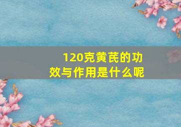 120克黄芪的功效与作用是什么呢