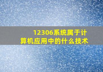 12306系统属于计算机应用中的什么技术