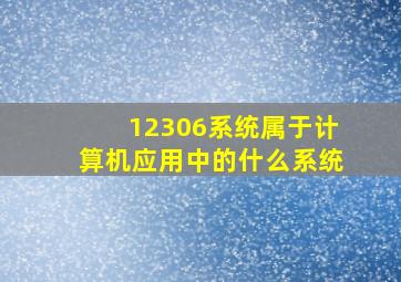 12306系统属于计算机应用中的什么系统