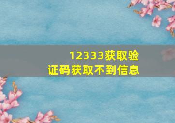 12333获取验证码获取不到信息