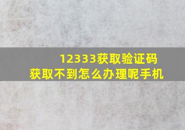 12333获取验证码获取不到怎么办理呢手机