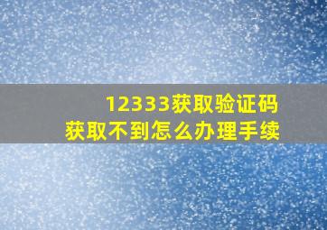 12333获取验证码获取不到怎么办理手续