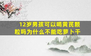 12岁男孩可以喝黄芪颗粒吗为什么不能吃萝卜干