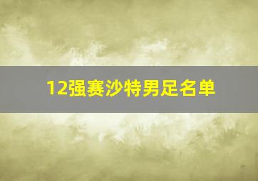 12强赛沙特男足名单