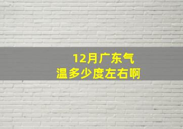 12月广东气温多少度左右啊