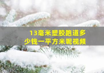 13毫米塑胶跑道多少钱一平方米呢视频