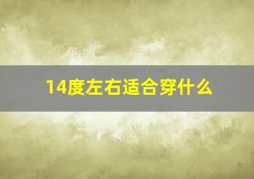 14度左右适合穿什么