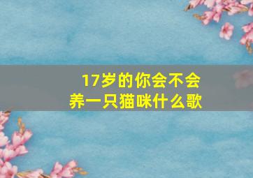 17岁的你会不会养一只猫咪什么歌