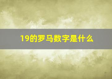 19的罗马数字是什么