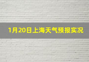 1月20日上海天气预报实况