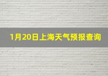 1月20日上海天气预报查询