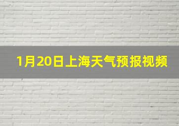 1月20日上海天气预报视频