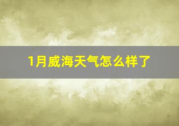 1月威海天气怎么样了