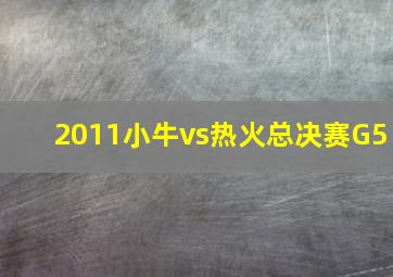 2011小牛vs热火总决赛G5