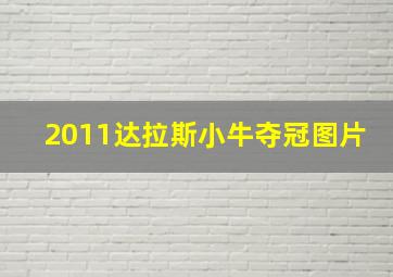 2011达拉斯小牛夺冠图片