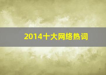 2014十大网络热词