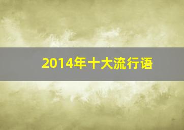 2014年十大流行语