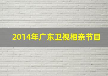 2014年广东卫视相亲节目